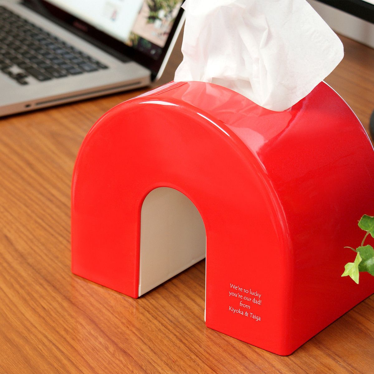 アーチティッシュケース レッド}